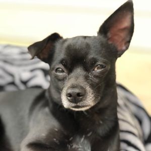 Meet your Posher, Marla